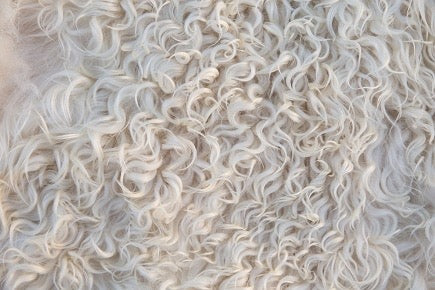 Geelong Superfine Lambswool